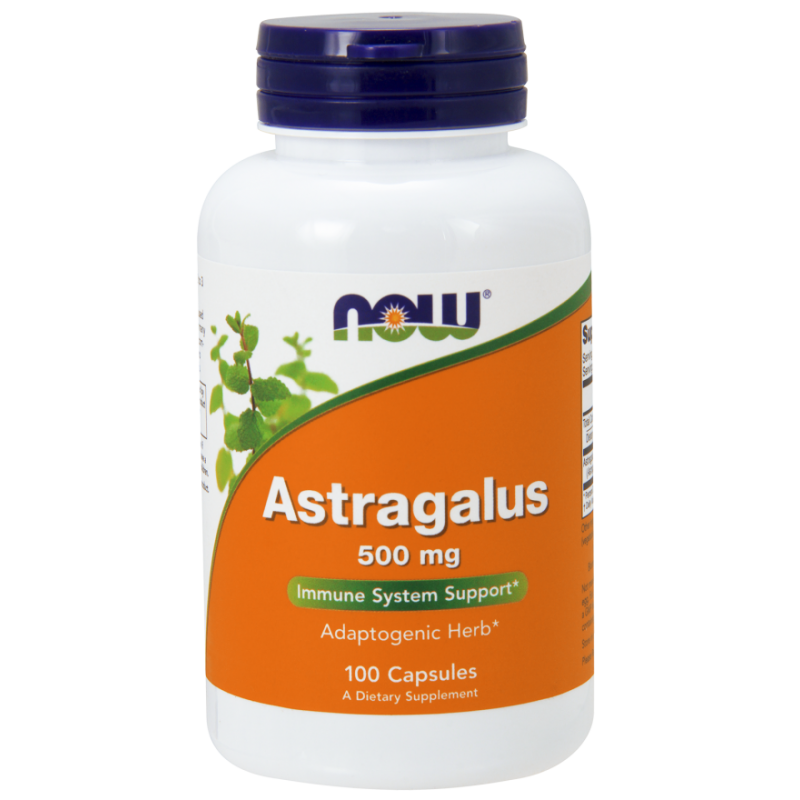 Astragalus - Traganek 500 mg (100 kaps.) NOW Foods
