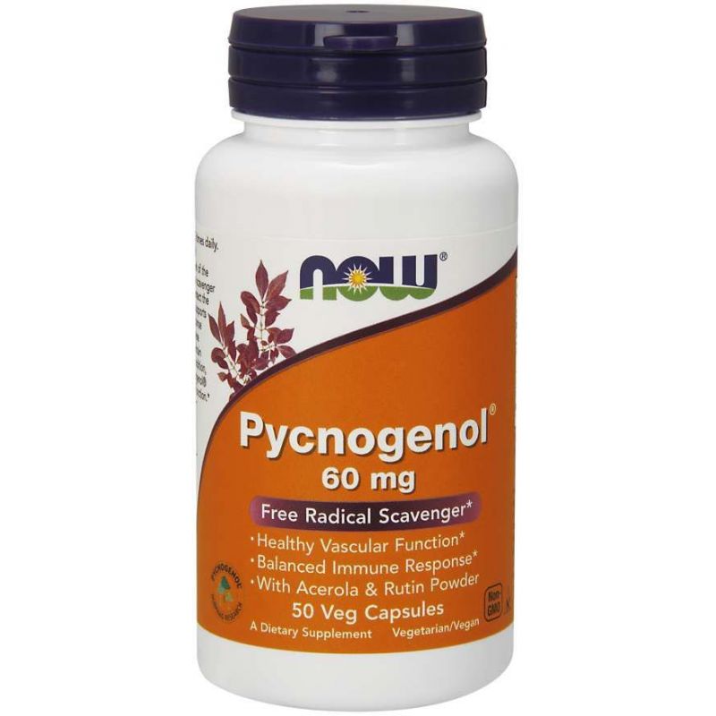 Pycnogenol - Ekstrakt z kory francuskiej Sosny Morskiej 60 mg (50 kaps.) NOW Foods