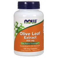 Olive Leaf extract - standaryzowany Liść Oliwny 500 mg (120 kaps.) NOW Foods