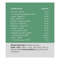 Detoks - Moringa + Granat + Ostropest + Gotu Kola + Karczoch + Kwercetyna + Czystek + Burak + Mangostan (50 kaps.) Panaseus