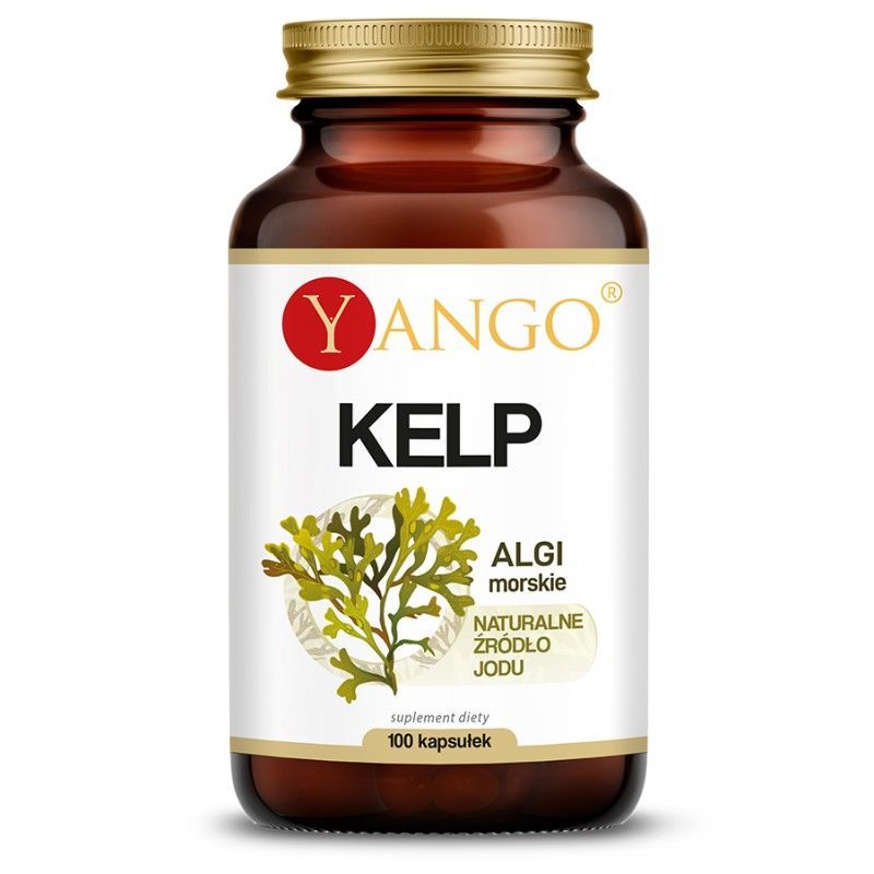 Kelp (naturalny Jod) - Morszczyn Pęcherzykowaty (100 kaps.) Yango