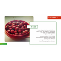 Hawthorn Berry - Głóg Dwuszyjkowy 540 mg (100 kaps.) NOW Foods