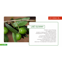 Olive Leaf extract - standaryzowany Liść Oliwny 500 mg (120 kaps.) NOW Foods