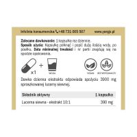 Alfalfa - Lucerna Siewna ekstrakt 10:1 (60 kaps.) Yango