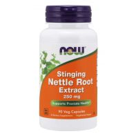 Stinging Nettle Root Extract - Pokrzywa Zwyczajna 250 mg (90 kaps.) NOW Foods