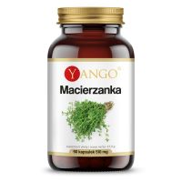 Macierzanka ekstrakt 420 mg (90 kaps.) Yango