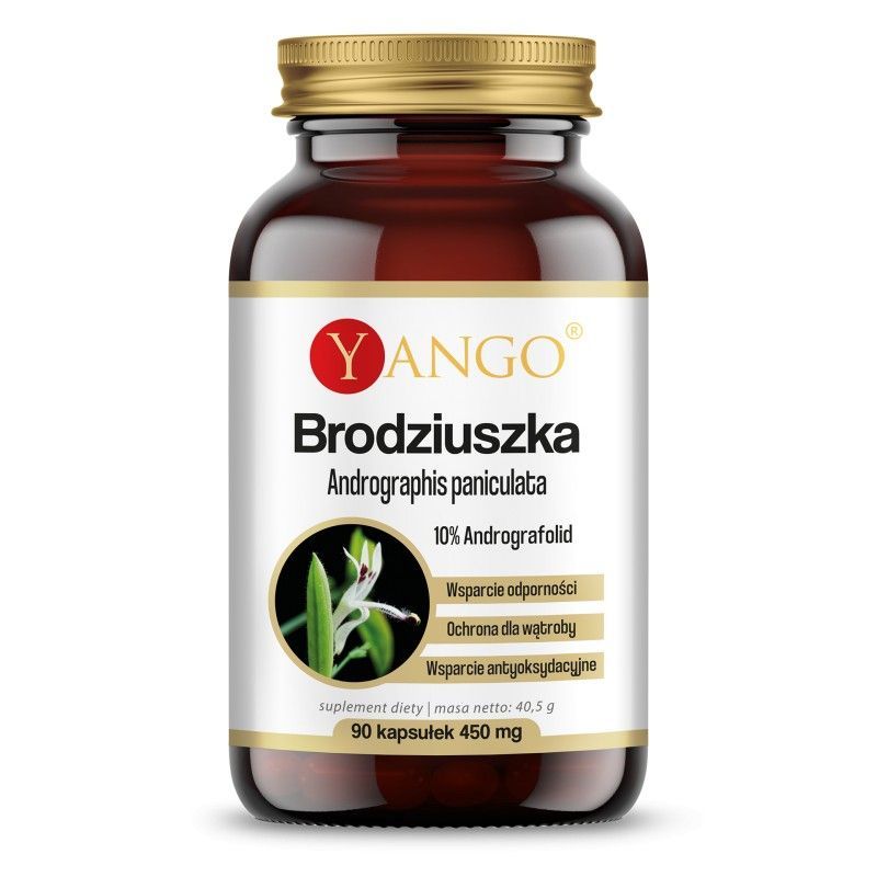 Brodziuszka - Andrographis Paniculata ekstrakt 360 mg (90 kaps.) Yango