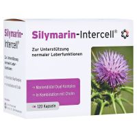 Silymarin-Intercell - Cholina + Ostropest dla wsparcia pracy wątroby (120 kaps.) Intercell Pharma
