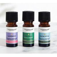 Your Daily Essentials Kit - Zestaw olejków eterycznych Lawenda + Drzewo herbaciane + Eukaliptus (3 x 9 ml) Tisserand