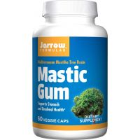 Mastic Gum - Mastika - Pistacja Kleista 500 mg (60 kaps.) Jarrow Formulas