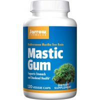 Mastic Gum - Mastika - Pistacja Kleista 500 mg (120 kaps.) Jarrow Formulas