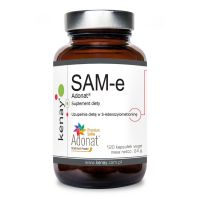 SAMe - S-Adenozylo L-Metionina 50 mg (120 kaps.) Kenay