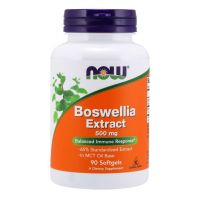 Boswellia 500 mg ekstrakt (90 kaps.) NOW Foods