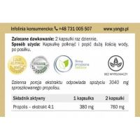 Propolis 380 mg - ekstrakt 4:1 (90 kaps.) Yango