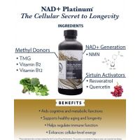 NAD+ Platinum - NMN /mononukleotyd nikotynamidu/ + Betaina bezwodna + Kwercetyna + Resweratrol (100 ml) Quicksilver Scientific