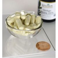 Ginkgo Biloba Extract - standaryzowany Miłorząb japoński 60 mg (30 kaps.) Swanson