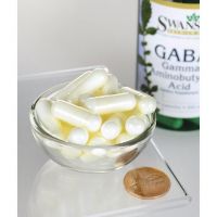 GABA - Kwas Gamma Aminomasłowy 500 mg (100 kaps.) Swanson