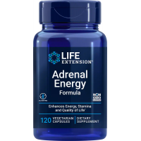 Adrenal Energy Formula - Bazylia OciBest + Ashwagandha Sensoril + Cordyceps + Bacopa BaCognize (120 kaps.) Life Extension