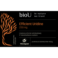Efficient Uridine 250 mg - 5'monofosforan Urydyny - Urydyna (60 kaps.) bioU