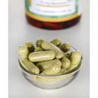 Olive Leaf Extract - Liść Oliwny ekstrakt 500 mg (120 kaps.) Swanson