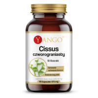 Cissus Czworograniasty - ekstrakt 380 mg (90 kaps.) Yango