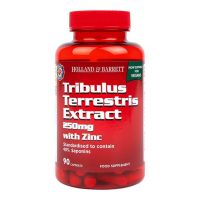 Tribulus Terrestris Extract 250 mg with Zinc - Ekstrakt z Buzdyganka Naziemnego z Cynkiem (90 kaps.) Holland & Barrett