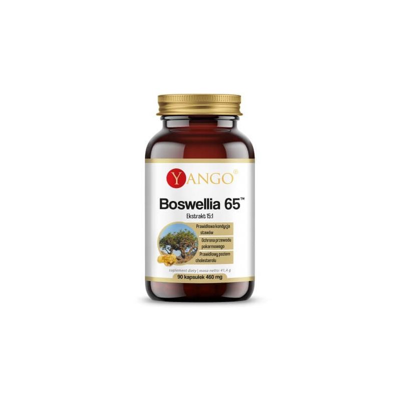 Boswellia 65™ (90 kaps.) Yango