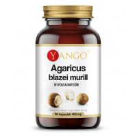 Grzyb Agaricus blazei 450 mg - ekstrakt 10% polisacharydów (90 kaps.) Yango