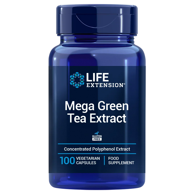 Mega Green Tea Extract - Zielona Herbata ekstrakt 725 mg (100 kaps.) Life Extension
