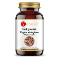 Grzyb Polyporus - Żagiew wielogłowa - ekstrakt 10% polisacharydów (90 kaps.) Yango