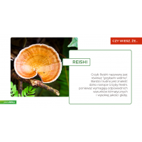Organiczne zarodniki grzybów Reishi (90 kaps.) Aloha Medicinals Inc.