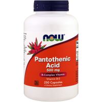 Pantothenic Acid - Kwas Pantotenowy (Witamina B5) 500 mg (250 kaps.) Now Foods