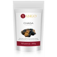 Grzyb Chaga - ekstrakt 40% polisacharydów (100 g) Yango