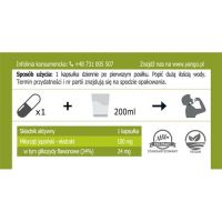 Ginkgo Biloba - ekstrakt 24% glikozydów flawonowych 310 mg (90 kaps.) Yango
